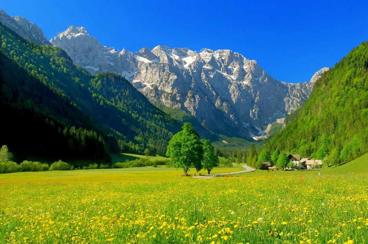 Hotel Planinka Ljubno Esterno foto